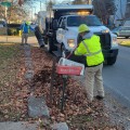 Leaf pickup to begin soon