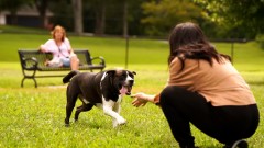 Hill Bark Park at H. P. Thomas Park in Bowling Green, KY